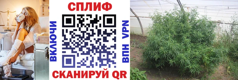 МАРИХУАНА THC 21%  Купить где  Назрань 